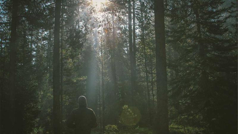 今日黑料产品服务展示